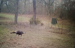 Pushmataha County Road N 4070, Antlers, OK 74525