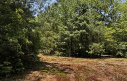 Parcel B, 000 Buckley Hall Rd, Dutton, VA 23035