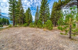 503 Redtail Loop, Clio, CA 96106