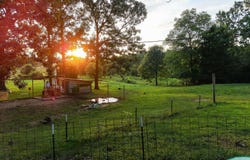 3605 CR 6760, West Plains, MO 65775-0000