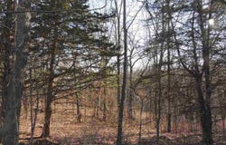 9 Cedar Rim Trail, GALENA, IL 61036