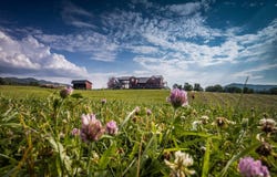 1212 Skaggs Road, Wolfcreek, WV 24993