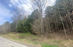 Lot B Piermott Lane, Hartwick, NY 13348