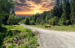 1007 Ruby Creek RD, Naples, ID 83847