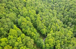 Lt 12C Von Trapp Lane unit: 12C, Tuckasegee, NC 28783