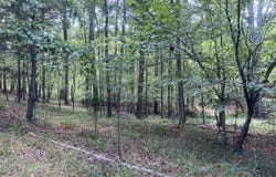 0 Hully Bridge Rd Lot 4, Buffalo, SC 29321