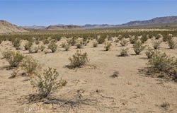 800 Brucite St. Avenue, Lucerne Valley, CA 92356