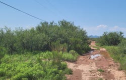 70 Acres N TBD N Acorn Place, McNeal, AZ 85617