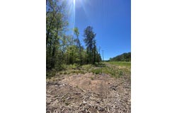 39-A FM 1751, Broaddus, TX 75929