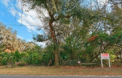 11119 BESSIE DIX Road, SEFFNER, FL 33584