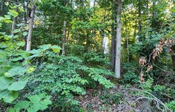 Lot 15  N Heanor  LN, Bella Vista, AR 72714