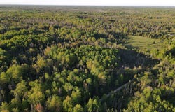 V/L 33 Road, Perkins, MI 49837