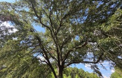 325 Double Ponds Road, Prentiss, MS 39474