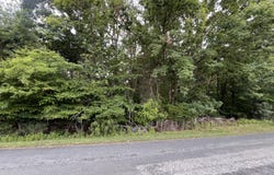 Parford Ln, Moneta, VA 24121