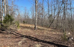 Tract #4 Lake Road, Silva, MO 63964