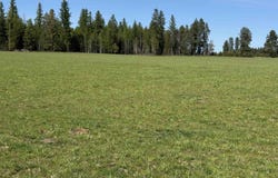 29210 N Spotted Rd, Deer Park, WA 99006