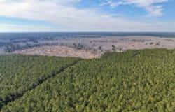 0 FOLLOW DITCH ROAD, PRINCESS ANNE, MD 21853