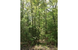 201 E Bo Peep Circle lot: 104, Horseshoe Bend, AR 72512