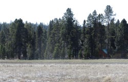 Longhorn Loop, Chiloquin, OR 97624