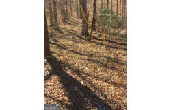 151 Sandy Springs, Athens, GA 30601