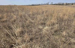 330th Avenue, Chariton, IA 50049