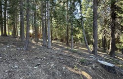 11710 Tundra Drive, Truckee, CA 96161