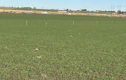 NKA Vineyard Drive (Parcel C), Pasco, WA 99301-0000