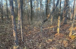 HARTURA Way, Hot Springs Village, AR 71909