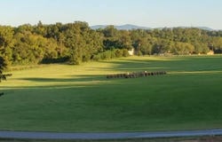 130 Homestead Rd, Madisonville, TN 37354