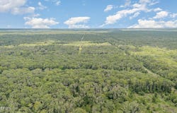 10710 UNDERWOOD Avenue, Hastings, FL 32145