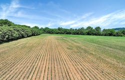 W Fair Avenue, Lancaster, OH 43130