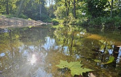 5695 Highway 181, Gainesville, MO 65655