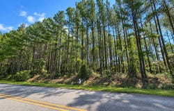 9.01 ACRES Owens Road, Mcrae-Helena, GA 31055