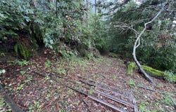 Deer Trail WAY, Scotts Valley, CA 95066