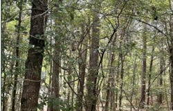 West Boulevard, West, MS 39192