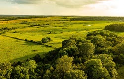 808 Long State Highway Y, Marshfield, MO 65706