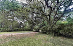 2557 Riverview Dr, Denham Springs, LA 70726