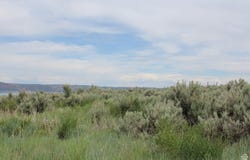 100 LOTUS, Fish Haven, ID 83287