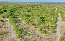 US HWY 59 lot: 35-W, Freer, TX 78357