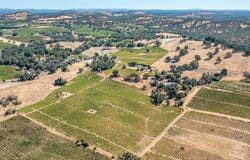 19940 Shenandoah School Rd, Plymouth, CA 95669