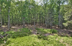 Jersey Road, Wurtsboro, NY 12790