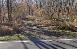321 ARK ROAD, MOUNT LAUREL, NJ 08054
