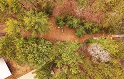 1.6AC ON CARLSON LN, Eagle River, WI 54521