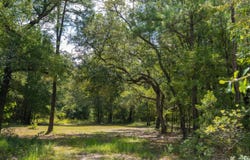 00 Stein Road, Blakely, GA 39823