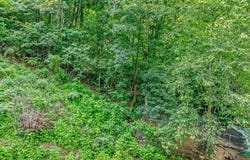 0 Henderson Springs Road, Pigeon Forge, TN 37863