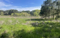 0 BUSBY CUT OFF ROAD, NAUVOO, AL 35578