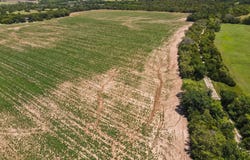 81.3+/- Acres SW Boyer Rd., Augusta, KS 67010