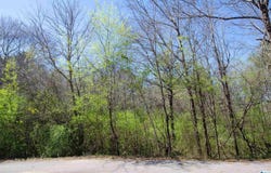 0 HOWARD CIRCLE, LINCOLN, AL 35096