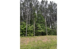 1771 Crockett Point, Jasper, TN 37347