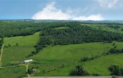 2413 County Route 117, Troupsburg, NY 14885